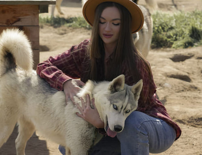 Хаски-парк - Парк-отель «Русский» (бывш. «Дракино»)