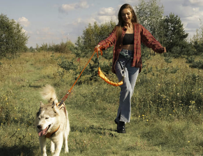 Хаски-парк - Парк-отель «Русский» (бывш. «Дракино»)