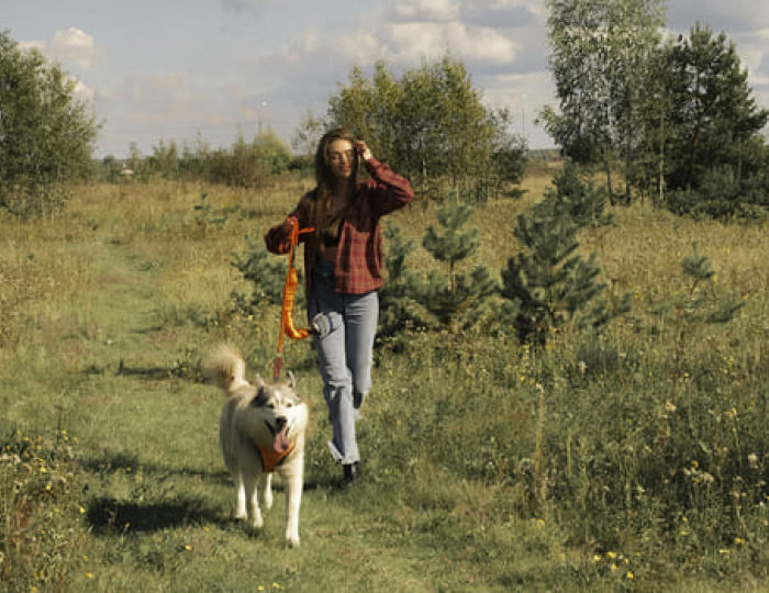 Хаски-парк - Парк-отель «Русский» (бывш. «Дракино»)