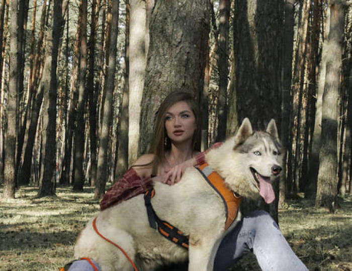 Хаски-парк - Парк-отель «Русский» (бывш. «Дракино»)