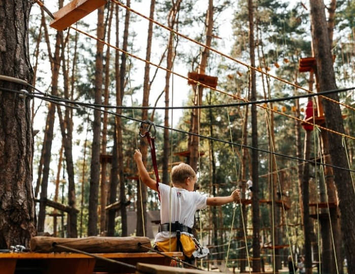 Тарзан-парк - Парк-отель «Русский» (бывш. «Дракино»)