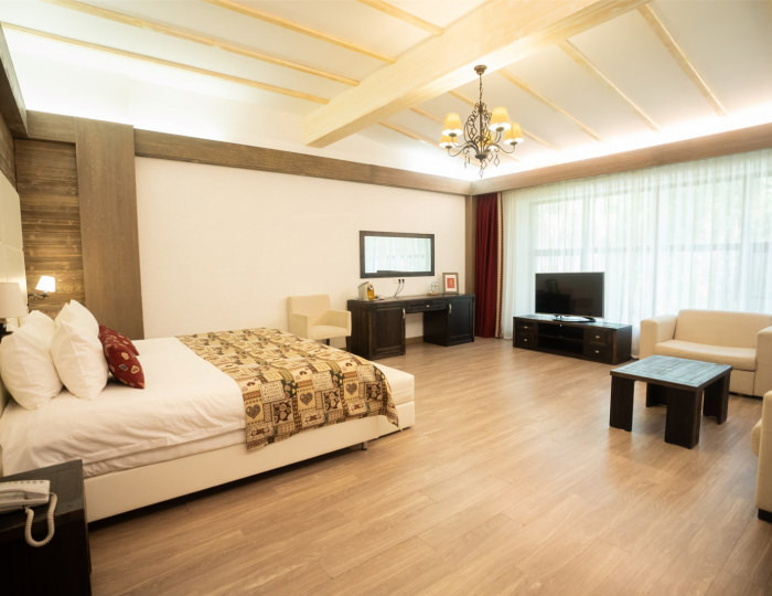 Джуниор сюит 2-местный - Парк-отель «Русский» (бывш. «Дракино»)